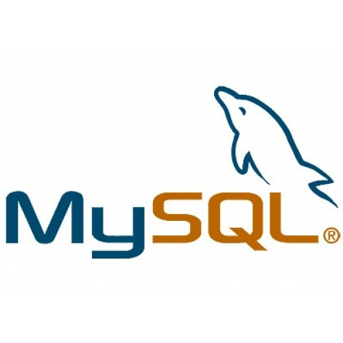 My SQL Database